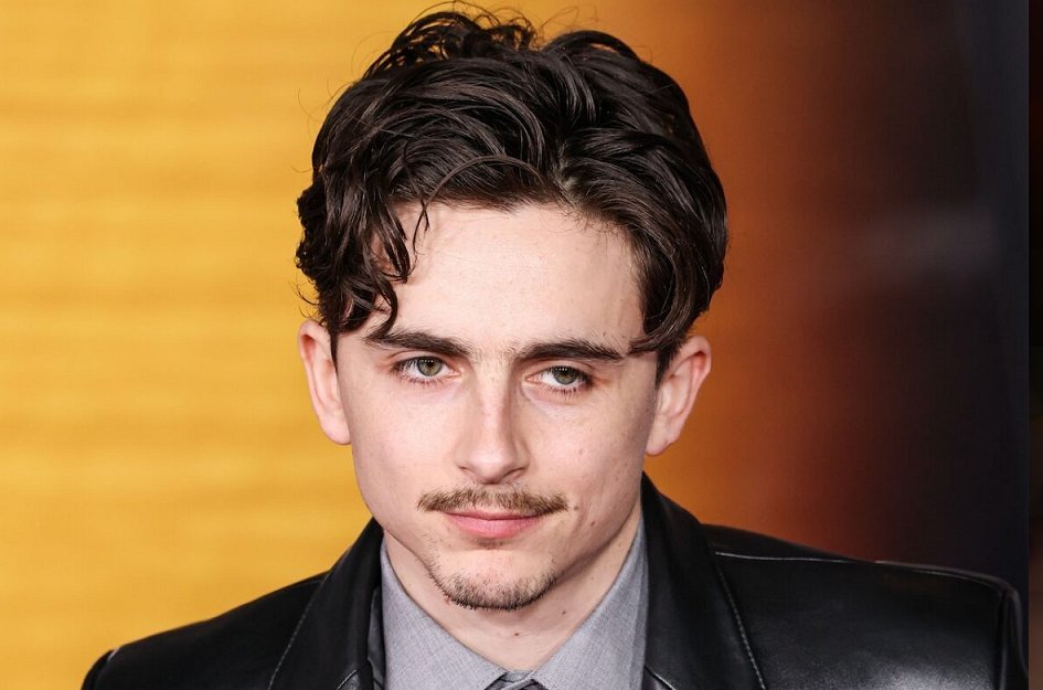 How did Hollywood turn Timothée Chalamet into a household name?